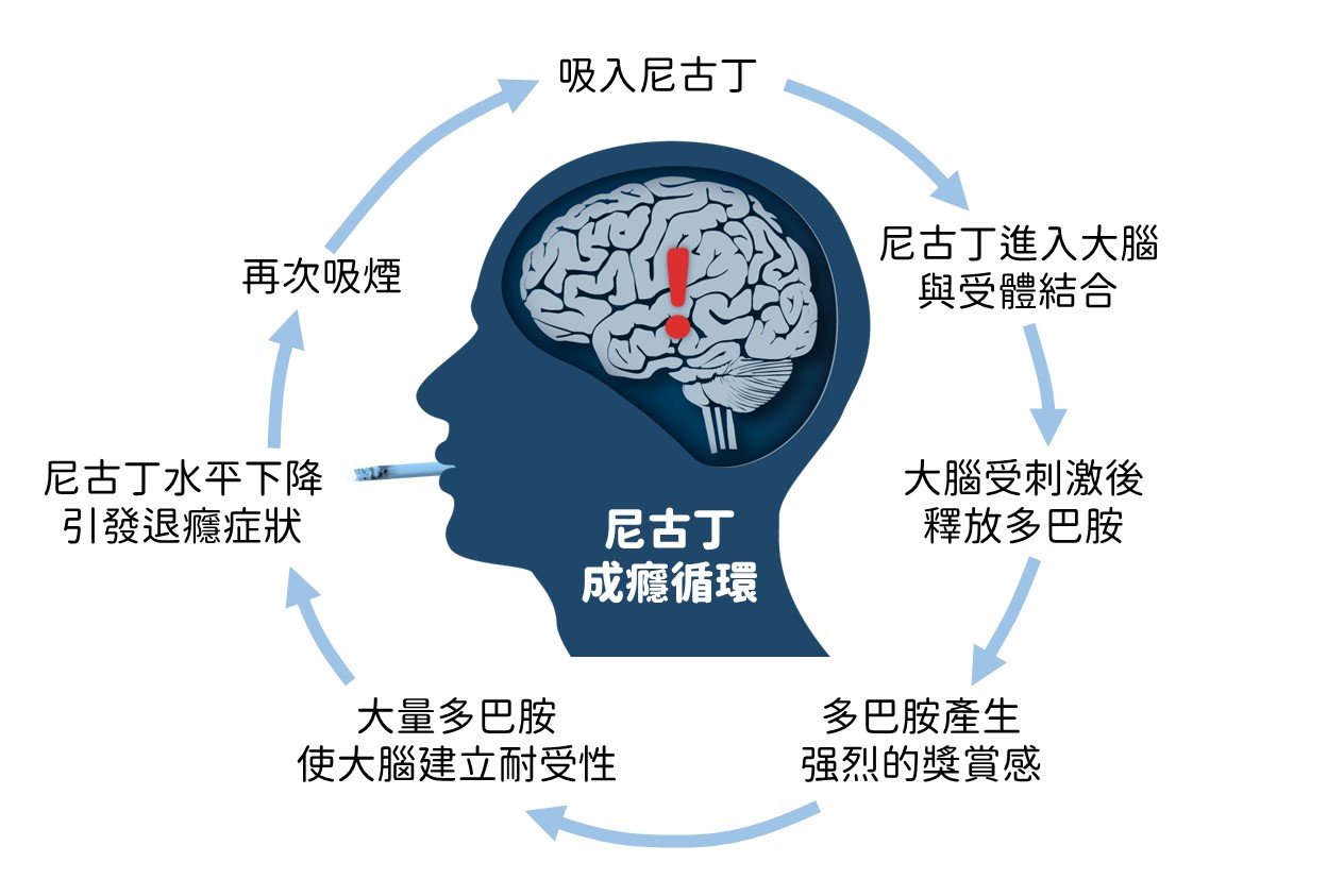 尼古丁成癮陷阱 | 香港吸煙與健康委員會